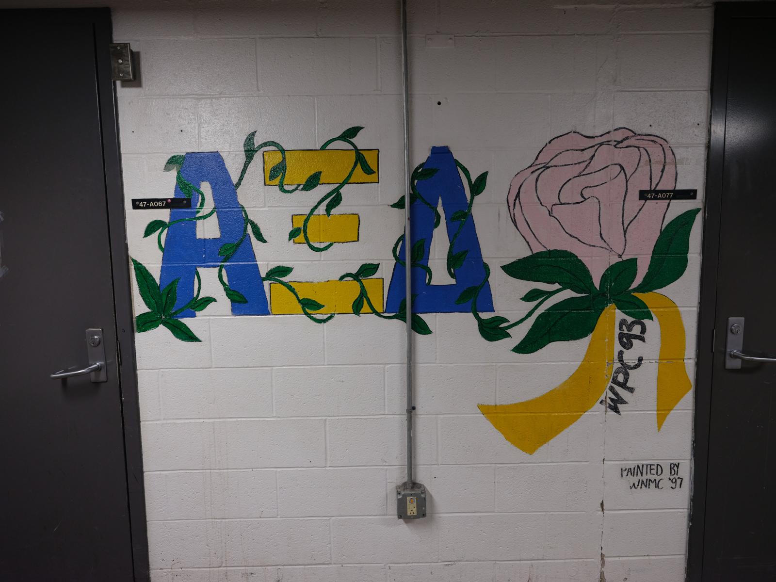 Depicts Alpha Sigma Alpha lettering covered in vines, next to a vine and the
text 